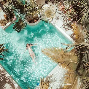 *** Hotel Buenavista Bacalar Jungle Experience Mexico